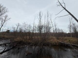 438 East 32nd Street Baldwin, MI 49304 - Photo 16 of 43 IMG_3375