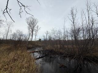 438 East 32nd Street Baldwin, MI 49304 - Photo 17 of 43 IMG_3376