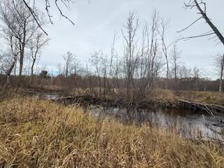 438 East 32nd Street Baldwin, MI 49304 - Photo 18 of 43 IMG_3377