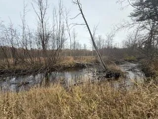 $88,900 | 438 East 32nd Street, Baldwin, MI 49304