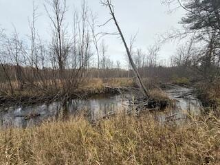 438 East 32nd Street Baldwin, MI 49304 - Photo 19 of 43 IMG_3378