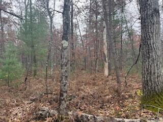 438 East 32nd Street Baldwin, MI 49304 - Photo 20 of 43 IMG_3379