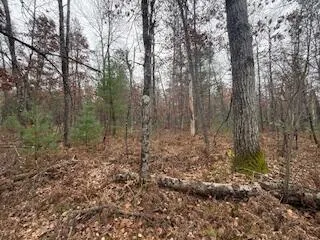 $88,900 | 438 East 32nd Street, Baldwin, MI 49304