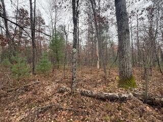 438 East 32nd Street Baldwin, MI 49304 - Photo 21 of 43 IMG_3380