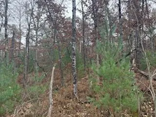 $88,900 | 438 East 32nd Street, Baldwin, MI 49304