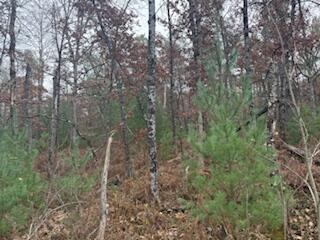 438 East 32nd Street Baldwin, MI 49304 - Photo 22 of 43 IMG_3382