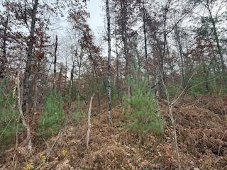 438 East 32nd Street Baldwin, MI 49304 - Photo 23 of 43 IMG_3383