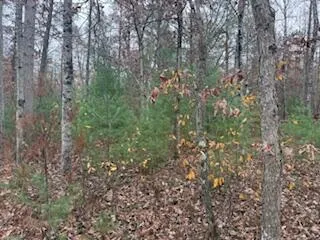 $88,900 | 438 East 32nd Street, Baldwin, MI 49304