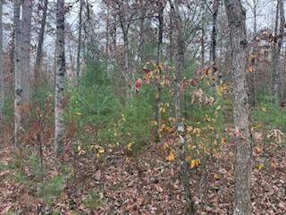 438 East 32nd Street Baldwin, MI 49304 - Photo 24 of 43 IMG_3384