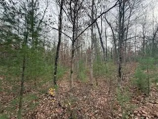 $88,900 | 438 East 32nd Street, Baldwin, MI 49304