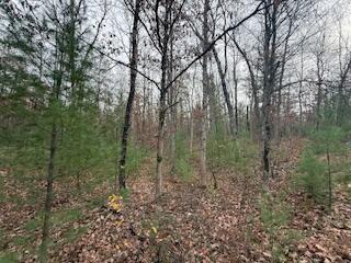 438 East 32nd Street Baldwin, MI 49304 - Photo 25 of 43 IMG_3385