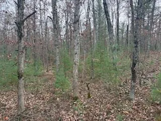 $88,900 | 438 East 32nd Street, Baldwin, MI 49304