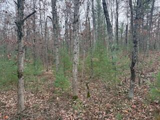 438 East 32nd Street Baldwin, MI 49304 - Photo 26 of 43 IMG_3387