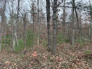 $88,900 | 438 East 32nd Street, Baldwin, MI 49304