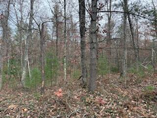 438 East 32nd Street Baldwin, MI 49304 - Photo 27 of 43 IMG_3389