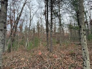 438 East 32nd Street Baldwin, MI 49304 - Photo 28 of 43 IMG_3390