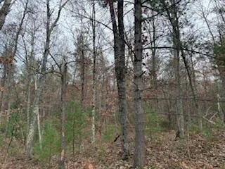 $88,900 | 438 East 32nd Street, Baldwin, MI 49304