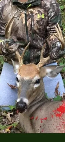 $88,900 | 438 East 32nd Street, Baldwin, MI 49304