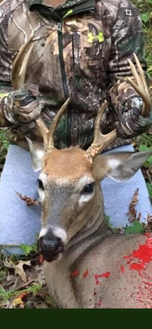 438 East 32nd Street Baldwin, MI 49304 - Photo 30 of 43 IMG_3113