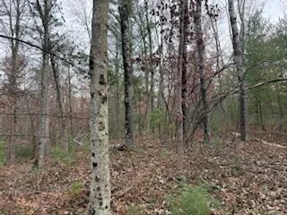 $88,900 | 438 East 32nd Street, Baldwin, MI 49304