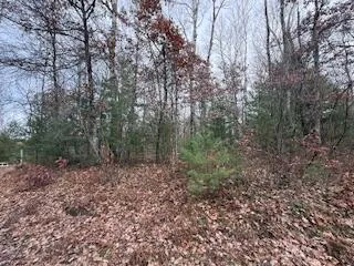 $88,900 | 438 East 32nd Street, Baldwin, MI 49304