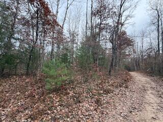 438 East 32nd Street Baldwin, MI 49304 - Photo 33 of 43 IMG_3394