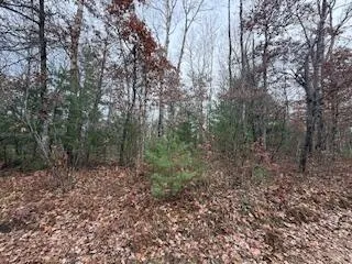 $88,900 | 438 East 32nd Street, Baldwin, MI 49304