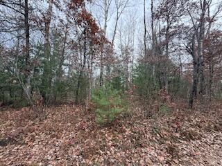 438 East 32nd Street Baldwin, MI 49304 - Photo 34 of 43 IMG_3395