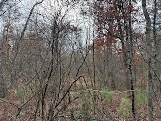 438 East 32nd Street Baldwin, MI 49304 - Photo 35 of 43 IMG_3398