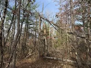 $88,900 | 438 East 32nd Street, Baldwin, MI 49304