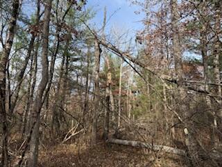 438 East 32nd Street Baldwin, MI 49304 - Photo 36 of 43 IMG_3399