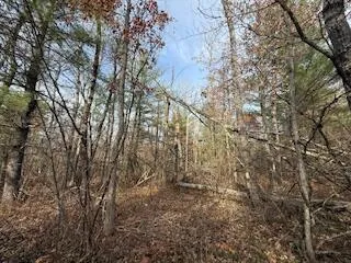 $88,900 | 438 East 32nd Street, Baldwin, MI 49304