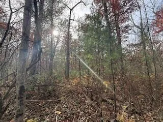 $88,900 | 438 East 32nd Street, Baldwin, MI 49304