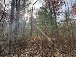 438 East 32nd Street Baldwin, MI 49304 - Photo 38 of 43 IMG_3401