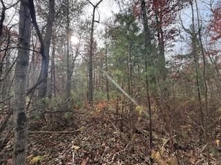 438 East 32nd Street Baldwin, MI 49304 - Photo 39 of 43 IMG_3402