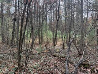 438 East 32nd Street Baldwin, MI 49304 - Photo 40 of 43 IMG_3403