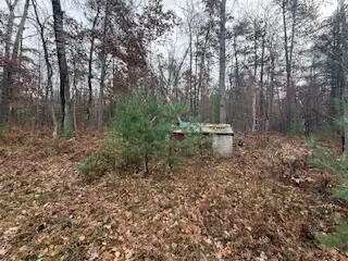 $88,900 | 438 East 32nd Street, Baldwin, MI 49304