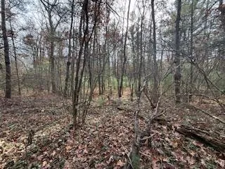 $88,900 | 438 East 32nd Street, Baldwin, MI 49304