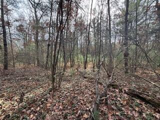 438 East 32nd Street Baldwin, MI 49304 - Photo 41 of 43 IMG_3404