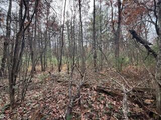 438 East 32nd Street Baldwin, MI 49304 - Photo 42 of 43 IMG_3405