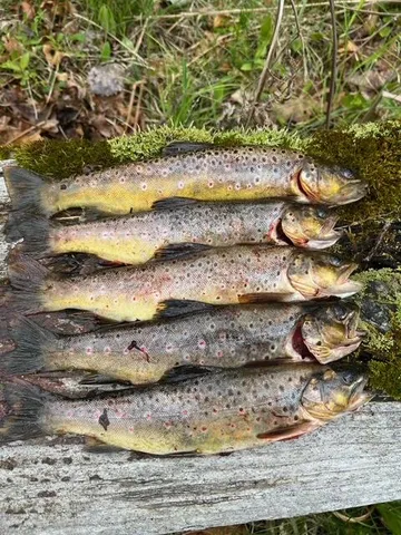 $88,900 | 438 East 32nd Street, Baldwin, MI 49304