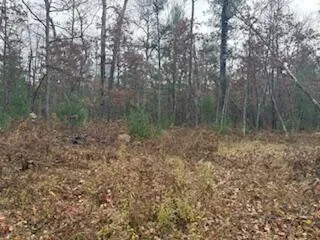 $88,900 | 438 East 32nd Street, Baldwin, MI 49304