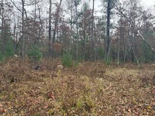 438 East 32nd Street Baldwin, MI 49304 - Photo 8 of 43 IMG_3363