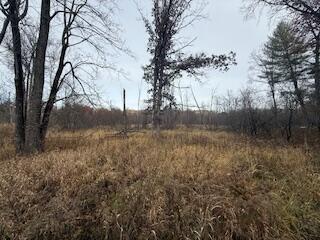 438 East 32nd Street Baldwin, MI 49304 - Photo 9 of 43 IMG_3364