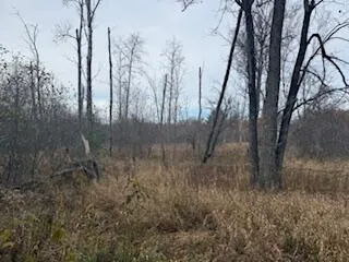 $88,900 | 438 East 32nd Street, Baldwin, MI 49304