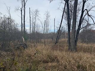 438 East 32nd Street Baldwin, MI 49304 - Photo 10 of 43 IMG_3369