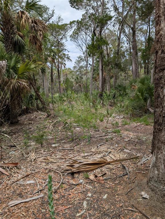 0 Southeast Bee Tree Road Inglis, FL 34449 - Photo 3 of 3