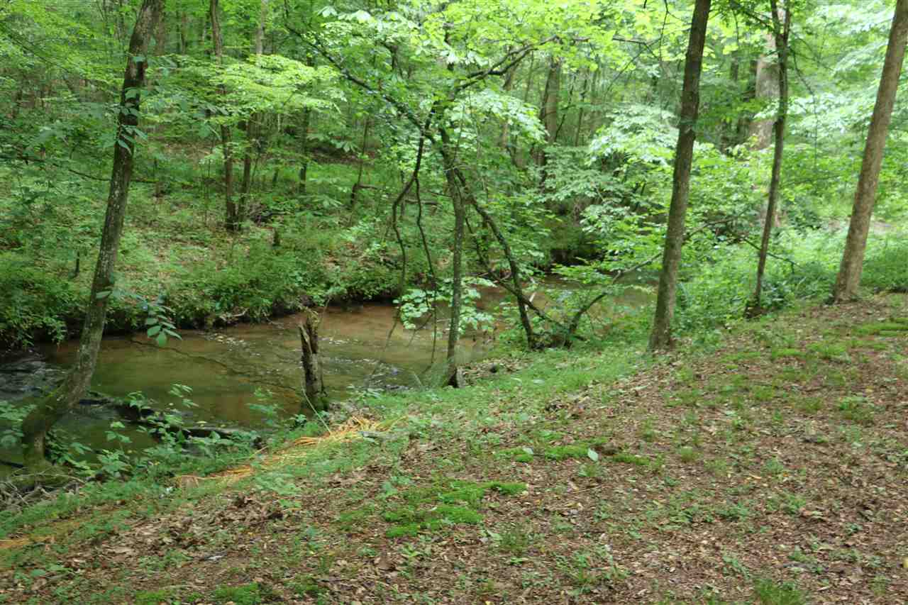 500 Forest Springs Road Adolphus, KY 42120 - Photo 30 of 33 Gallery Image 30