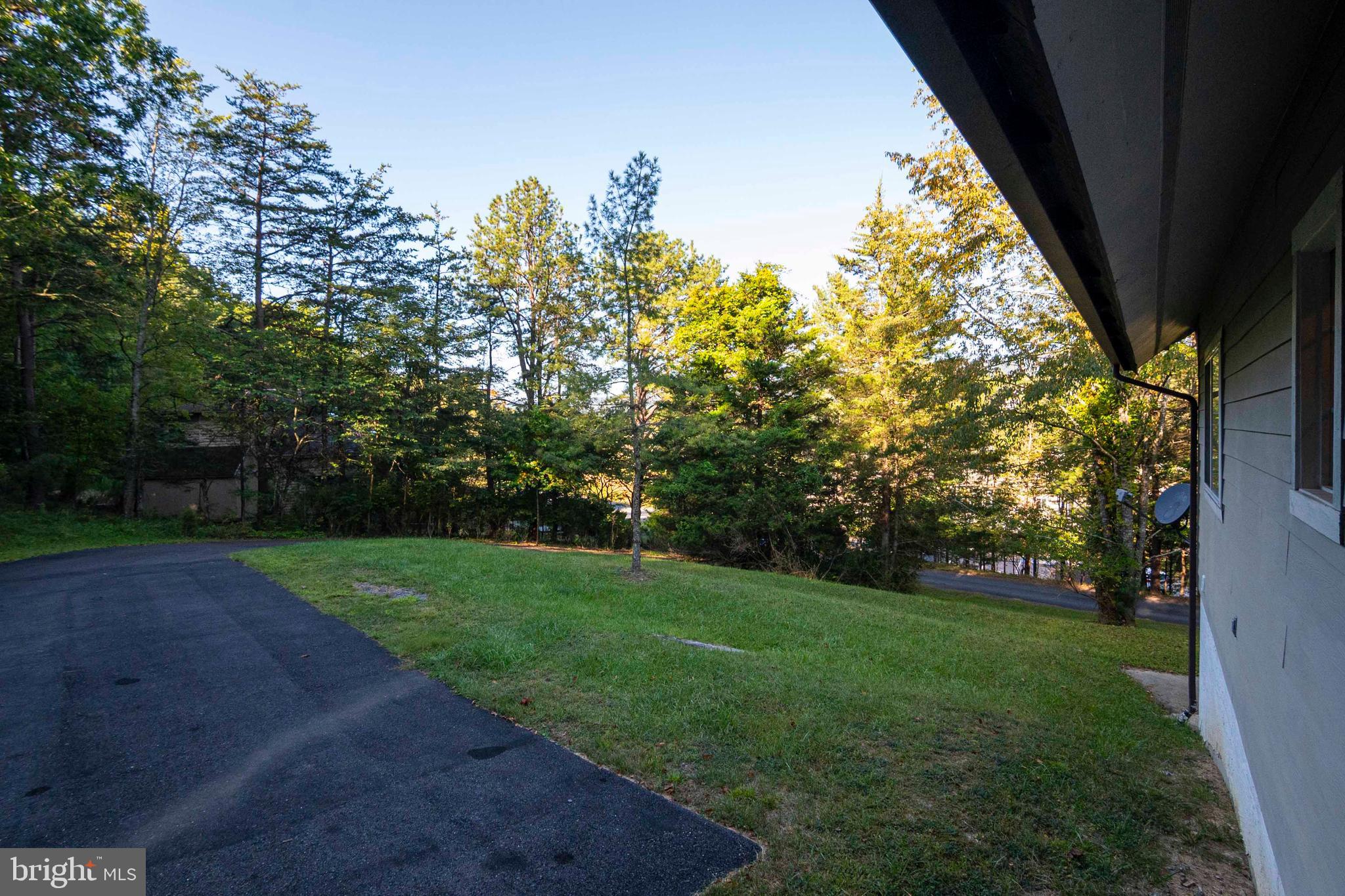 125 Fritzel Way Basye, VA 22842 - Photo 18 of 72 a view of a yard with a trees