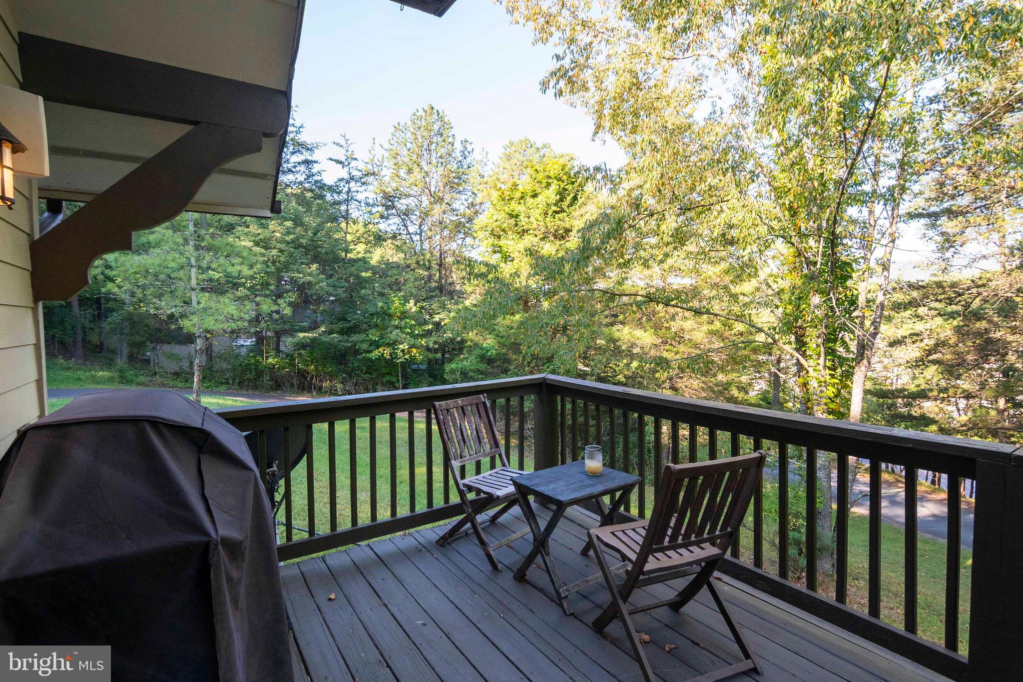 125 Fritzel Way Basye, VA 22842 - Photo 36 of 72 a view of balcony with wooden floor and outdoor seating
